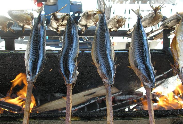 stockfisch.jpg